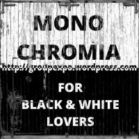 (c) Monochromia.blog