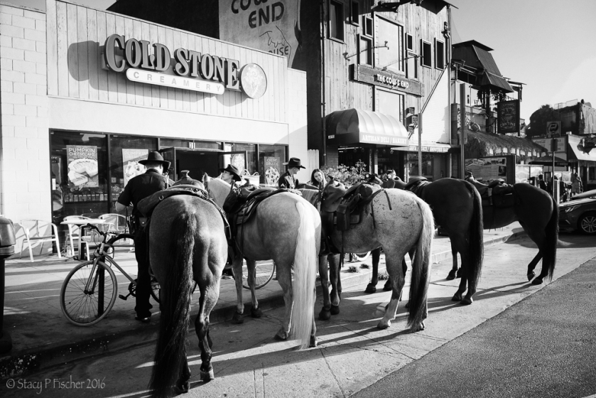 Police horses tethered outside Cold Stone Creamery, Venice Beach