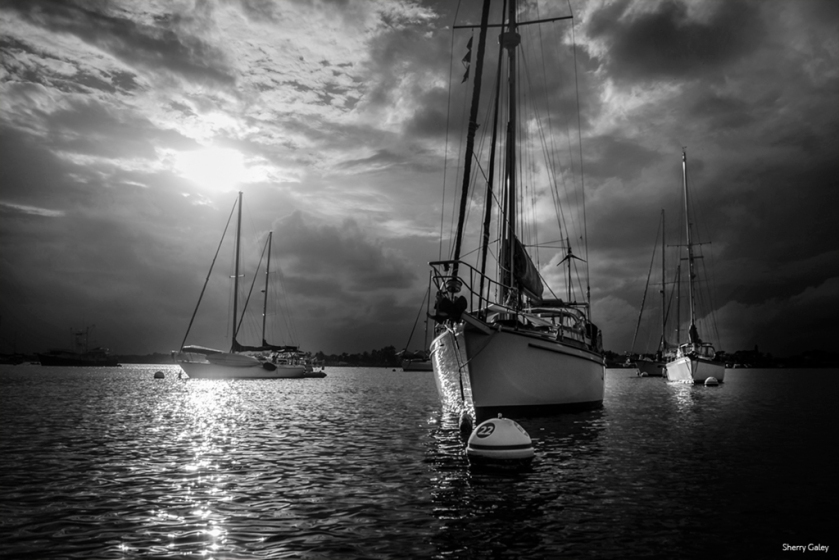 sailboats-in-sunset-bay-bw-for-monochromia