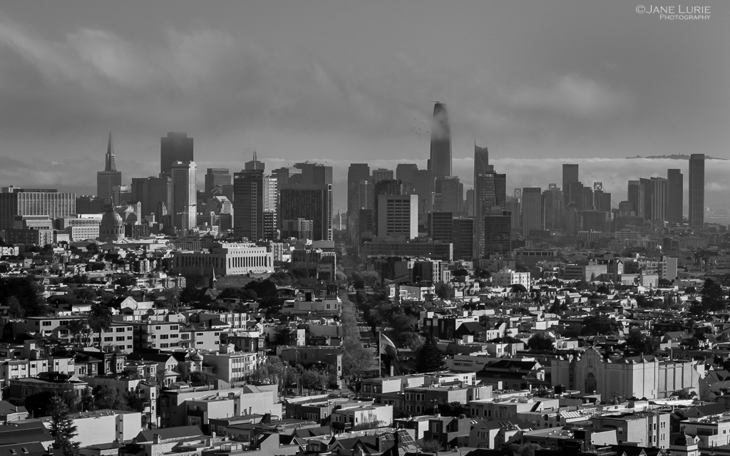 San Francisco, Photography, Black and White, Jane Lurie, Monochromia
